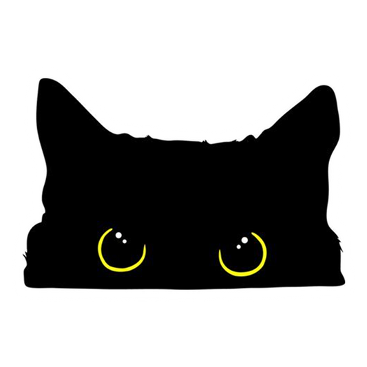Black Cat Glowing Eyes