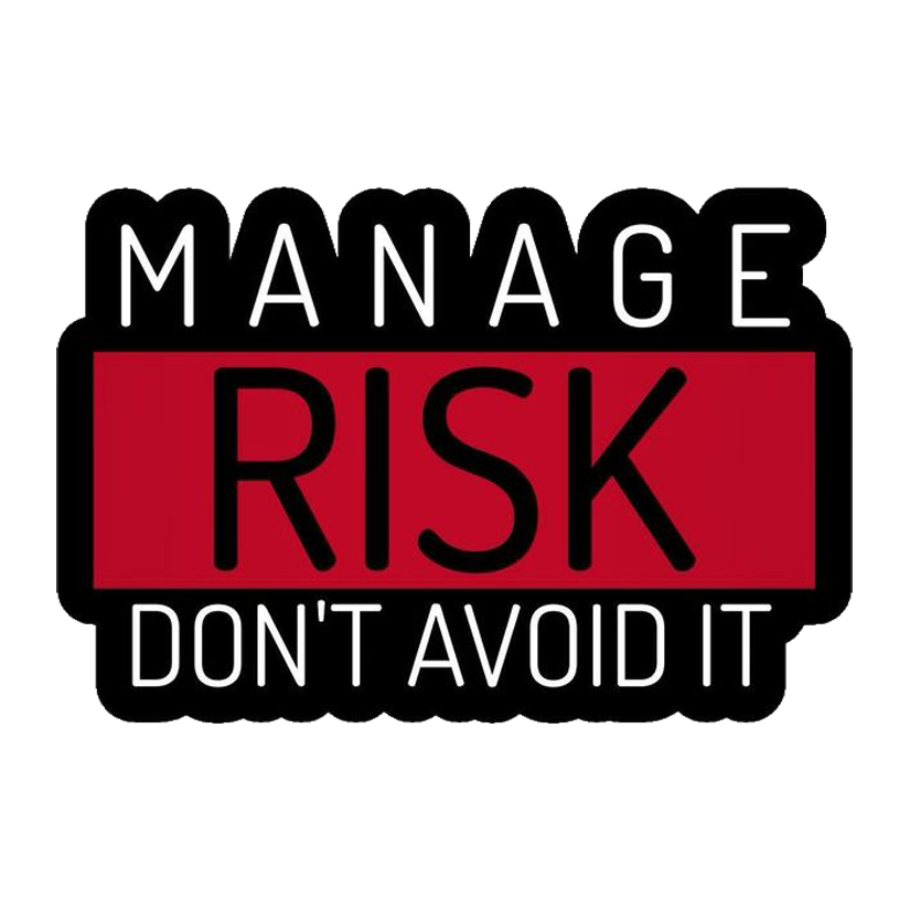 Manage Risk Don't Avoid It Premium Vinyl Stickers