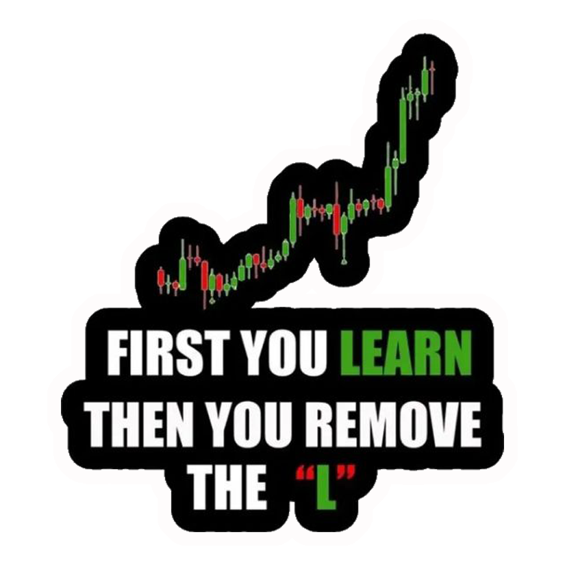 First You Learn Then You Remove The L Premium Vinyl Stickers