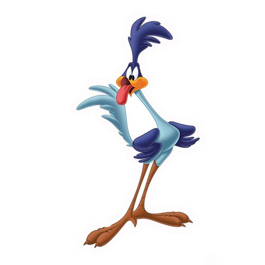 Road Runner Premium Vinyl Stickers