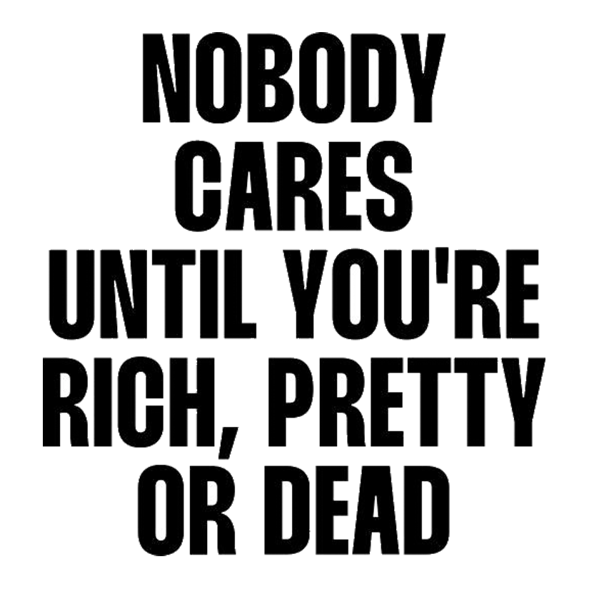 Nobody Cares Until You're Rich Premium Vinyl Stickers