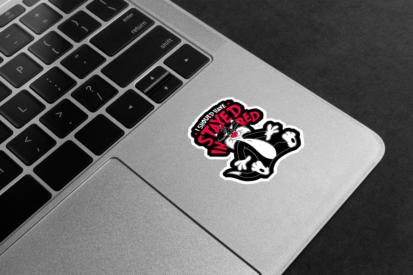 I Should Have Stayed In Bed Premium Vinyl Stickers