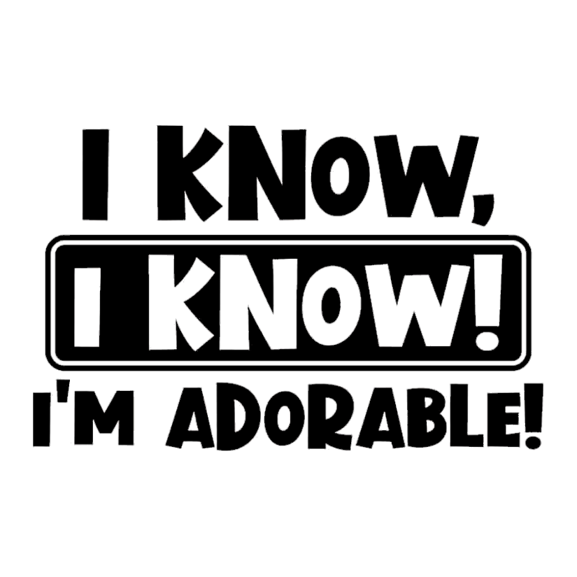 I Know, I'm Adorable Premium Vinyl Stickers