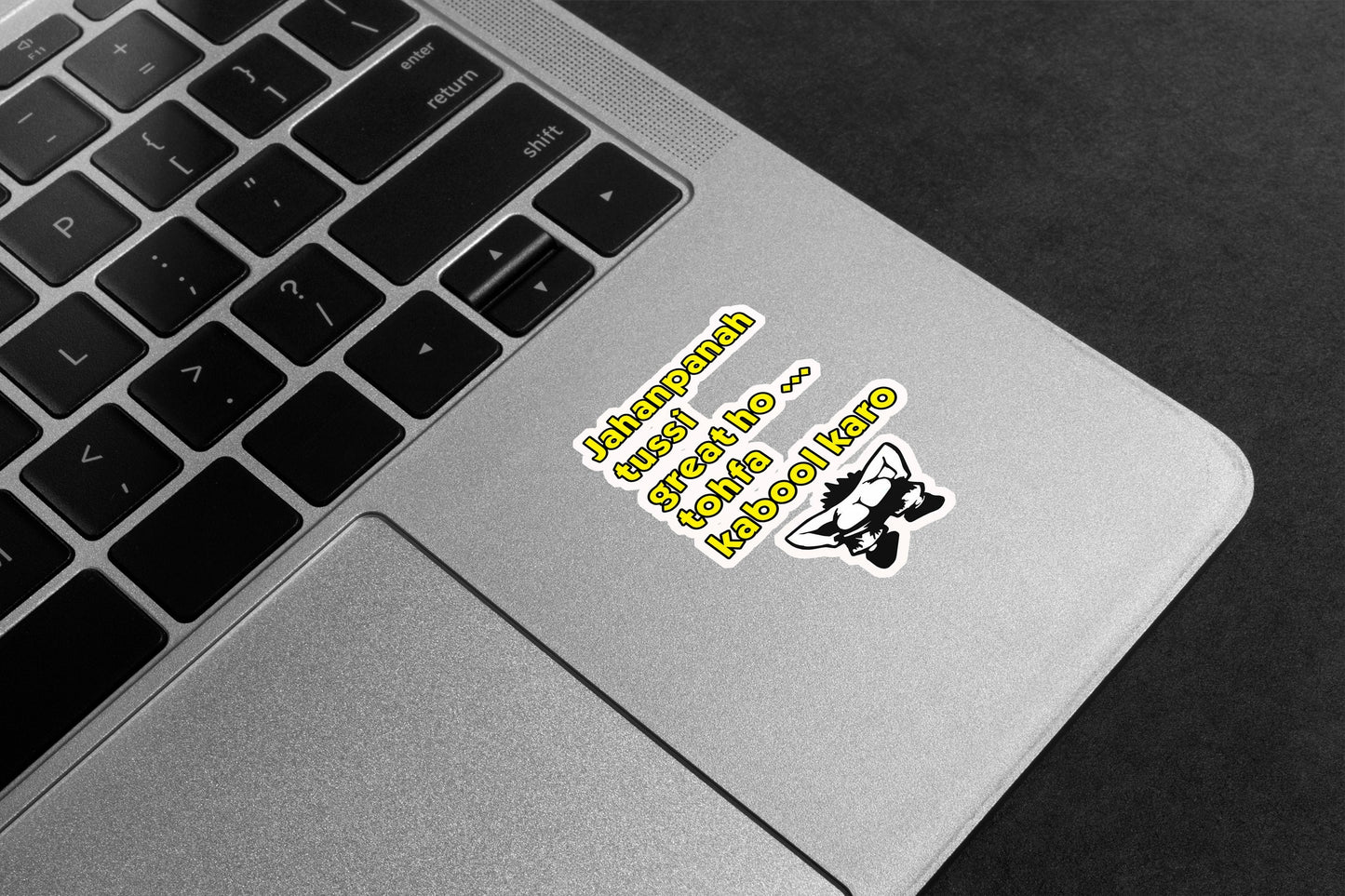 Jahanpanah Gift Humor Premium Vinyl Stickers