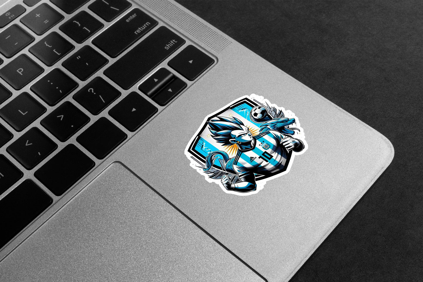 Vegeta Argentina Football Premium Vinyl Stickers