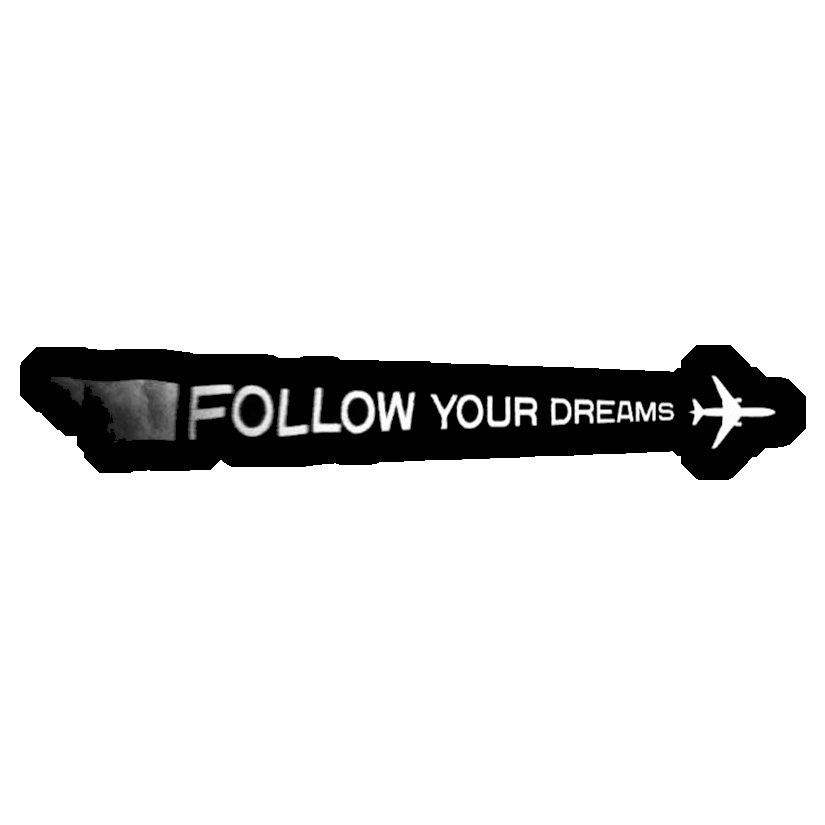 Follow Your Dreams Plane Premium Vinyl Stickers