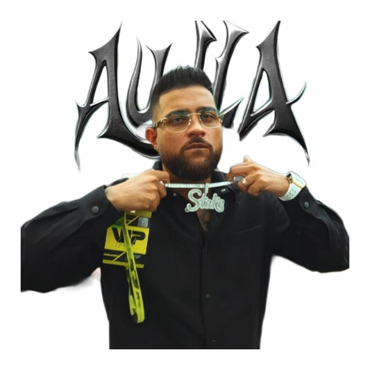 Karan Aujla Bad A$$ Looks Premium Vinyl Stickers