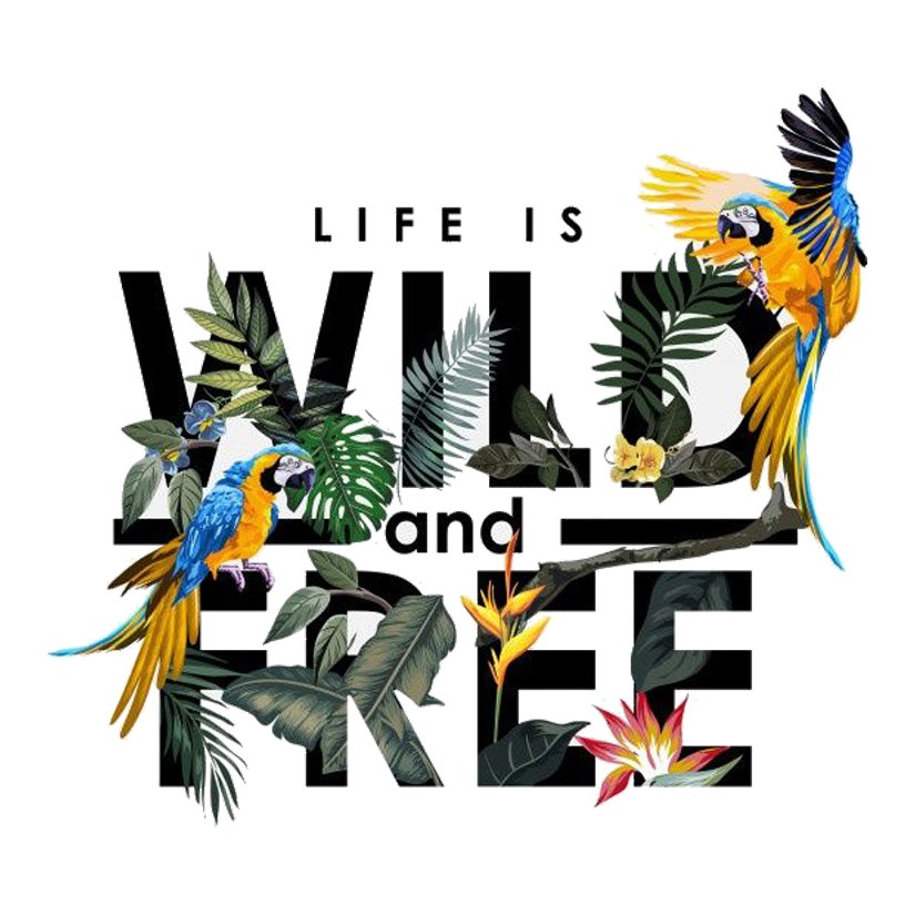 Life Is Wild and Free Premium Vinyl Stickers