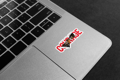 Have No Fear, Have Courage Premium Vinyl Stickers