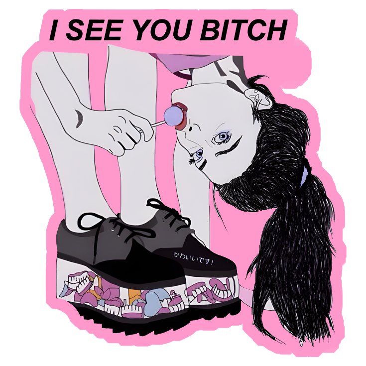 I See You Bitch