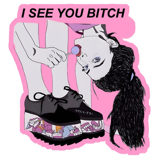 I See You Bitch