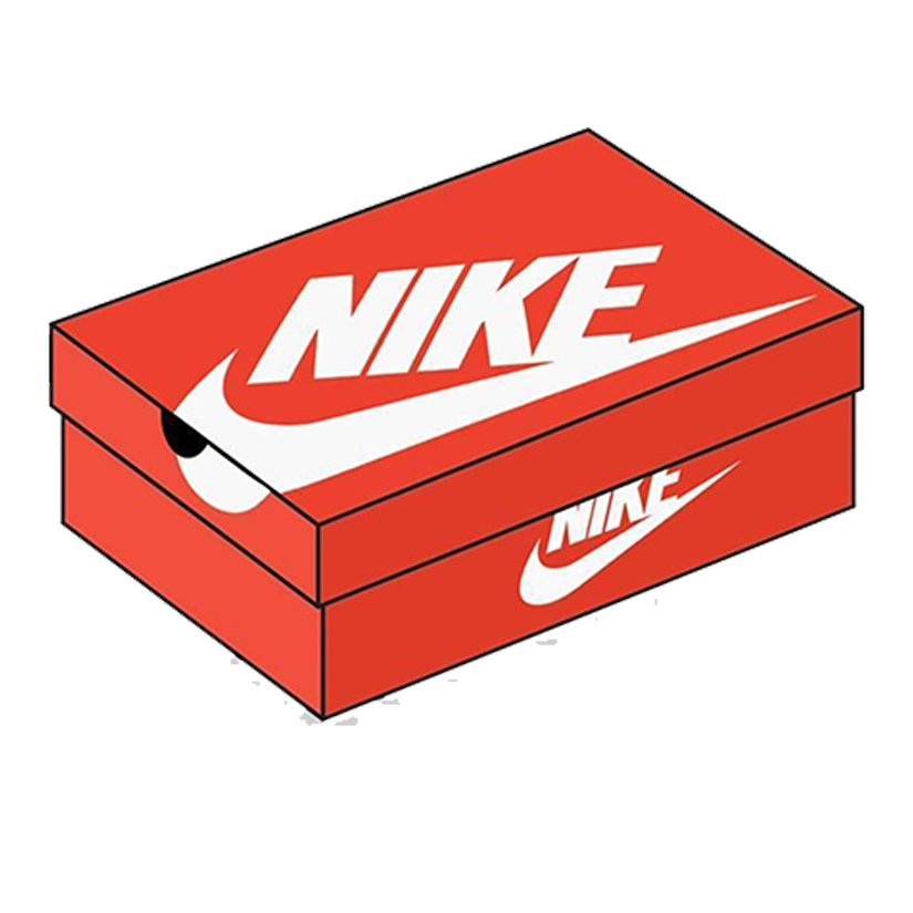 Nike Shoe Box